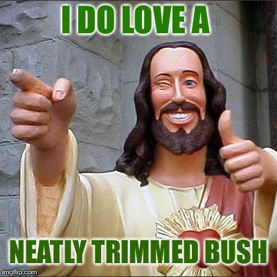 Buddy Christ Meme | I DO LOVE A NEATLY TRIMMED BUSH | image tagged in memes,buddy christ | made w/ Imgflip meme maker