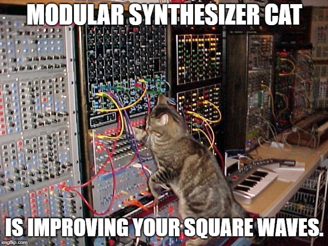 SYNTH CAT!!! |  MODULAR SYNTHESIZER CAT; IS IMPROVING YOUR SQUARE WAVES. | image tagged in humor,funny cat memes,synthesizer,cat memes | made w/ Imgflip meme maker