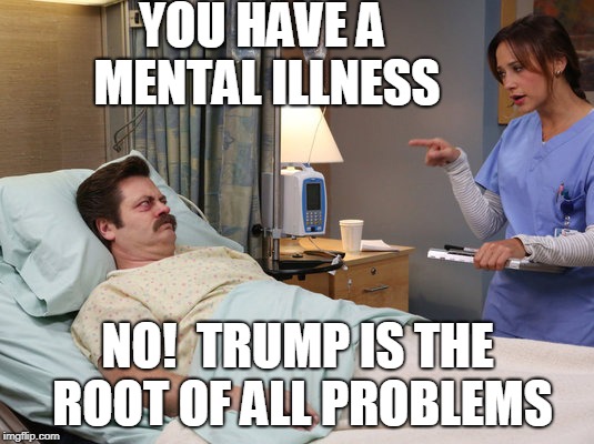 Ron Swanson Mental Illness | YOU HAVE A MENTAL ILLNESS NO!  TRUMP IS THE ROOT OF ALL PROBLEMS | image tagged in ron swanson mental illness | made w/ Imgflip meme maker
