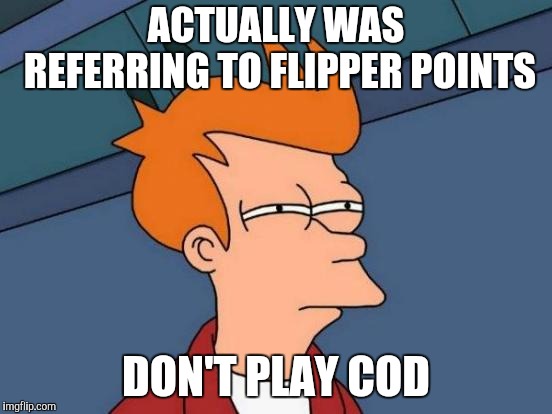 Futurama Fry Meme | ACTUALLY WAS REFERRING TO FLIPPER POINTS DON'T PLAY COD | image tagged in memes,futurama fry | made w/ Imgflip meme maker