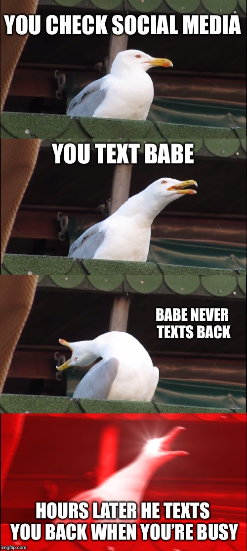 Why I’m single | YOU CHECK SOCIAL MEDIA; YOU TEXT BABE; BABE NEVER TEXTS BACK; HOURS LATER HE TEXTS YOU BACK WHEN YOU’RE BUSY | image tagged in memes,babe,bored,texting,busy,annoyed | made w/ Imgflip meme maker