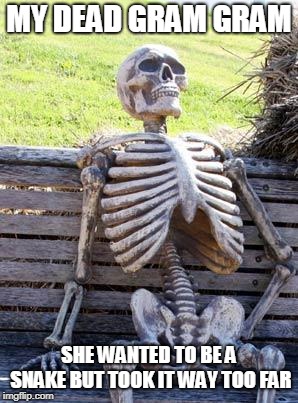 Waiting Skeleton | MY DEAD GRAM GRAM; SHE WANTED TO BE A SNAKE BUT TOOK IT WAY TOO FAR | image tagged in memes,waiting skeleton | made w/ Imgflip meme maker