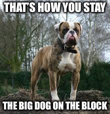 THAT’S HOW YOU STAY THE BIG DOG ON THE BLOCK | made w/ Imgflip meme maker