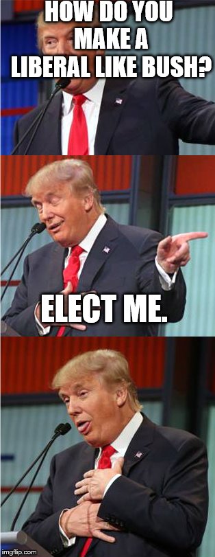 Bad Pun Trump | HOW DO YOU MAKE A LIBERAL LIKE BUSH? ELECT ME. | image tagged in bad pun trump | made w/ Imgflip meme maker