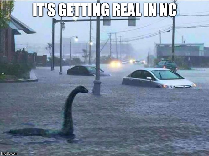 Hurricane Florence has people running scared | IT'S GETTING REAL IN NC | image tagged in hurricane florence,hurricane,fake news | made w/ Imgflip meme maker