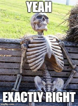 Waiting Skeleton Meme | YEAH EXACTLY RIGHT | image tagged in memes,waiting skeleton | made w/ Imgflip meme maker