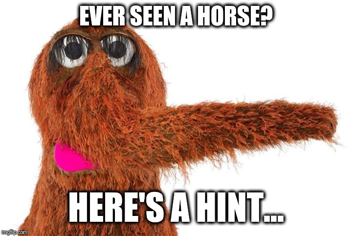 EVER SEEN A HORSE? HERE'S A HINT... | made w/ Imgflip meme maker