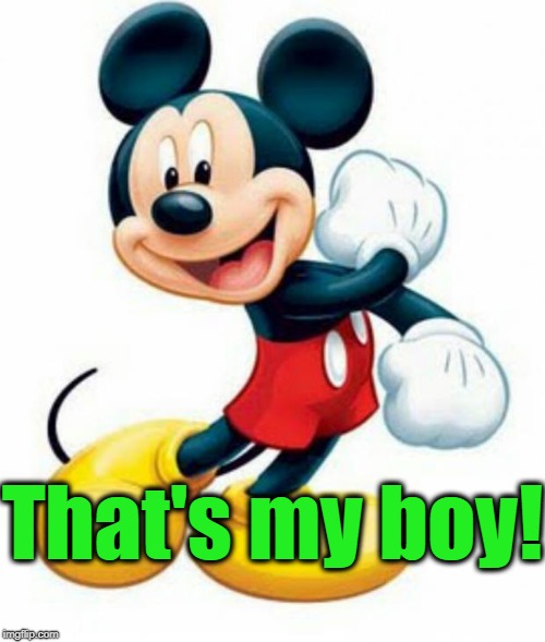 mickey mouse  | That's my boy! | image tagged in mickey mouse | made w/ Imgflip meme maker