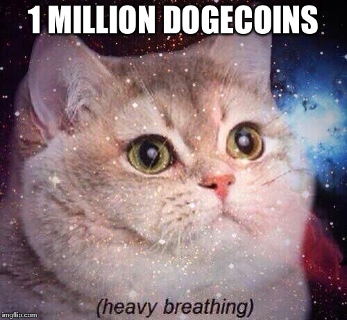 heavy breathing cat in space | 1 MILLION DOGECOINS | image tagged in heavy breathing cat in space | made w/ Imgflip meme maker