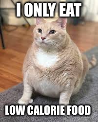 I ONLY EAT LOW CALORIE FOOD | made w/ Imgflip meme maker