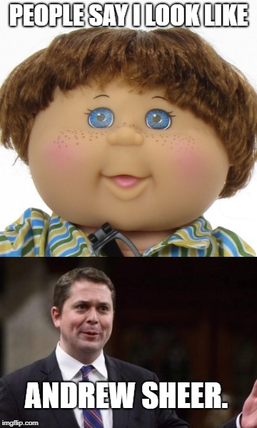 Andrew sheer the cabbage | PEOPLE SAY I LOOK LIKE; ANDREW SHEER. | image tagged in andrew sheer,meme,cabbage patch | made w/ Imgflip meme maker