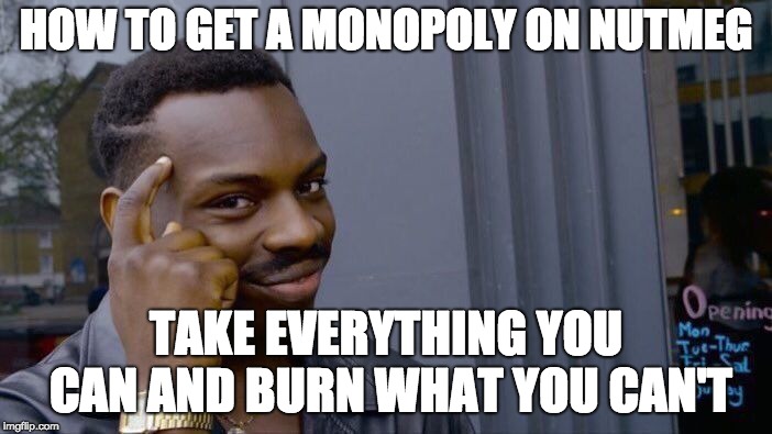 Roll Safe Think About It Meme | HOW TO GET A MONOPOLY ON NUTMEG; TAKE EVERYTHING YOU CAN AND BURN WHAT YOU CAN'T | image tagged in memes,roll safe think about it | made w/ Imgflip meme maker