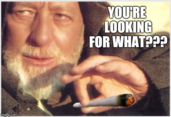 What if Old Ben was high af??? | YOU'RE LOOKING FOR WHAT??? | image tagged in obi wan joint,obi wan kenobi,star wars,not the droids | made w/ Imgflip meme maker