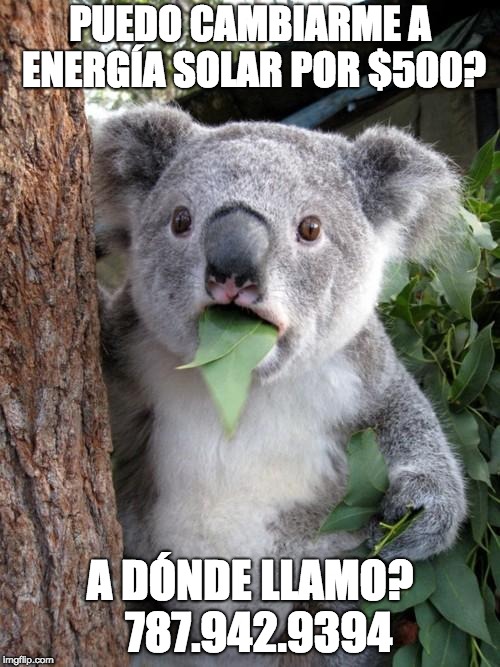 Surprised Koala Meme | PUEDO CAMBIARME A ENERGÍA SOLAR POR $500? A DÓNDE LLAMO? 
787.942.9394 | image tagged in memes,surprised koala | made w/ Imgflip meme maker