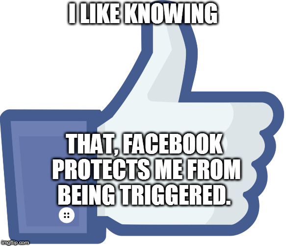 I LIKE KNOWING; THAT, FACEBOOK PROTECTS ME FROM BEING TRIGGERED. | made w/ Imgflip meme maker