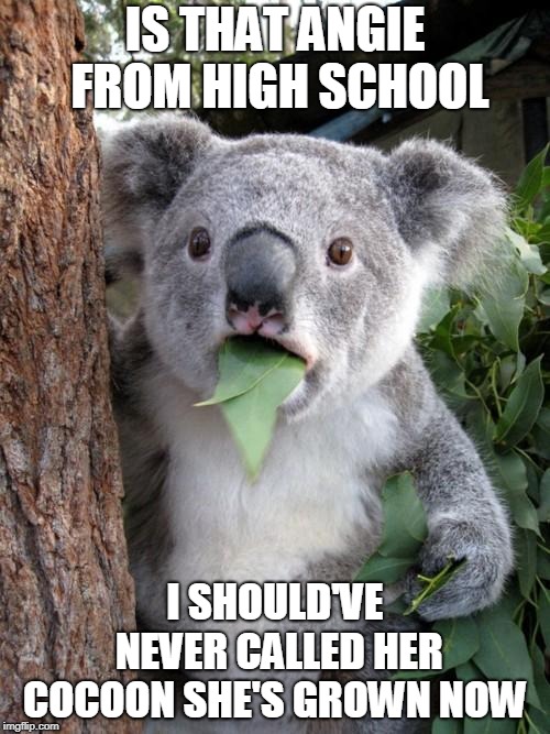 Surprised Koala Meme | IS THAT ANGIE FROM HIGH SCHOOL; I SHOULD'VE NEVER CALLED HER COCOON
SHE'S GROWN NOW | image tagged in memes,surprised koala | made w/ Imgflip meme maker