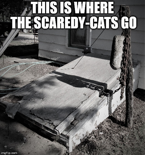 storm shelter | THIS IS WHERE THE SCAREDY-CATS GO | image tagged in storm shelter | made w/ Imgflip meme maker