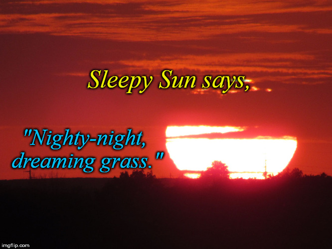 Red sunset | Sleepy Sun says, "Nighty-night, dreaming grass." | image tagged in red sunset | made w/ Imgflip meme maker