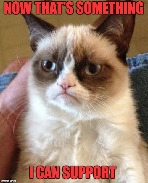 Grumpy Cat Meme | NOW THAT'S SOMETHING I CAN SUPPORT | image tagged in memes,grumpy cat | made w/ Imgflip meme maker
