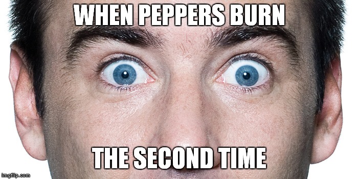 WHEN PEPPERS BURN; THE SECOND TIME | image tagged in peppers,burning,hot,burn | made w/ Imgflip meme maker