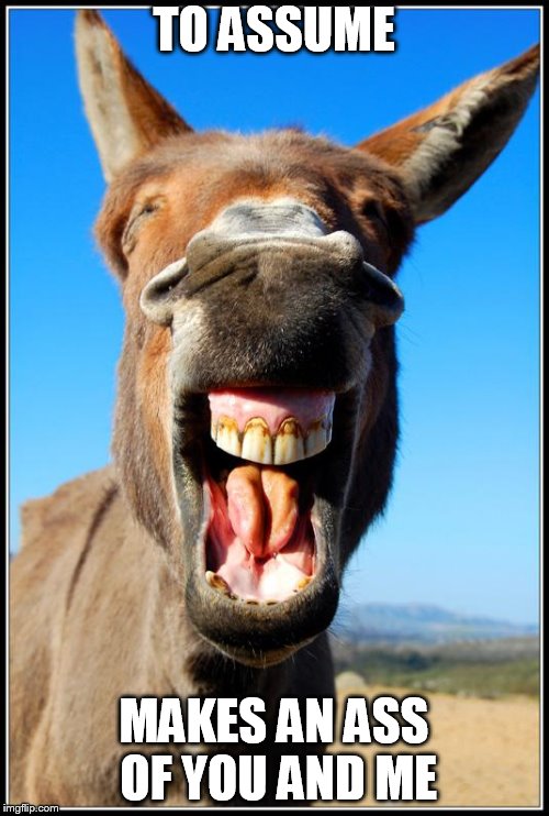 Happy Donkey | TO ASSUME; MAKES AN ASS OF YOU AND ME | image tagged in happy donkey | made w/ Imgflip meme maker