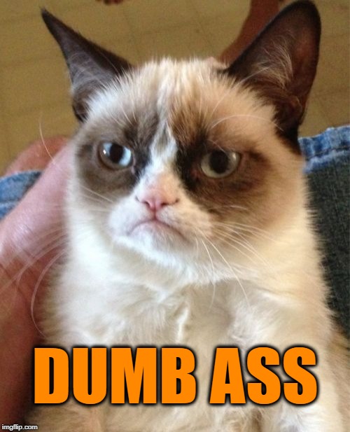 Grumpy Cat Meme | DUMB ASS | image tagged in memes,grumpy cat | made w/ Imgflip meme maker