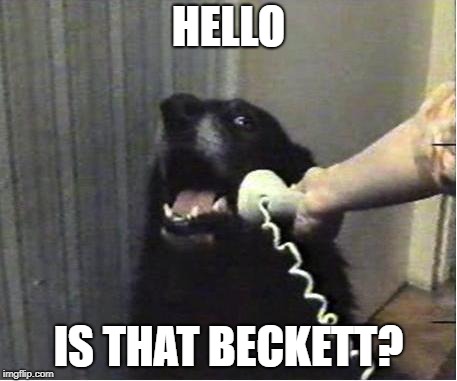 Yes this is dog | HELLO IS THAT BECKETT? | image tagged in yes this is dog | made w/ Imgflip meme maker