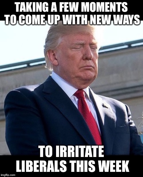 Troller in chief | TAKING A FEW MOMENTS TO COME UP WITH NEW WAYS; TO IRRITATE LIBERALS THIS WEEK | image tagged in maga | made w/ Imgflip meme maker