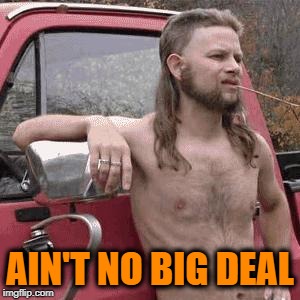 HillBilly | AIN'T NO BIG DEAL | image tagged in hillbilly | made w/ Imgflip meme maker