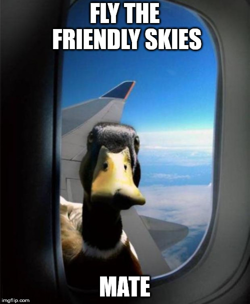 Duck on plane wing | FLY THE FRIENDLY SKIES MATE | image tagged in duck on plane wing | made w/ Imgflip meme maker