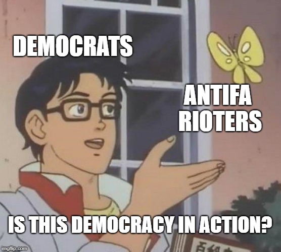 Is This A Pigeon | DEMOCRATS; ANTIFA RIOTERS; IS THIS DEMOCRACY IN ACTION? | image tagged in memes,is this a pigeon | made w/ Imgflip meme maker