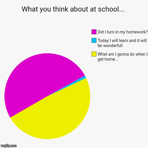 What you think about at school... | What am I gonna do when I get home..., Today I will learn and it will be wonderful!, Did I turn in my ho | image tagged in funny,pie charts | made w/ Imgflip chart maker