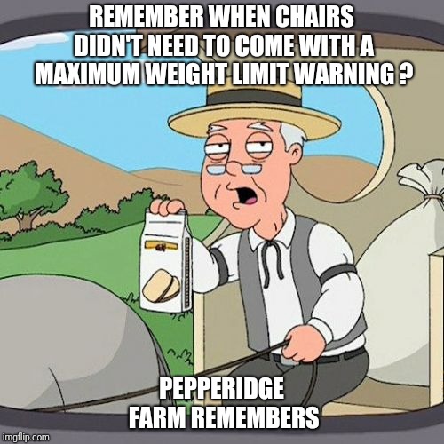 Pepperidge Farm Remembers Meme | REMEMBER WHEN CHAIRS DIDN'T NEED TO COME WITH A MAXIMUM WEIGHT LIMIT WARNING ? PEPPERIDGE FARM REMEMBERS | image tagged in memes,pepperidge farm remembers | made w/ Imgflip meme maker