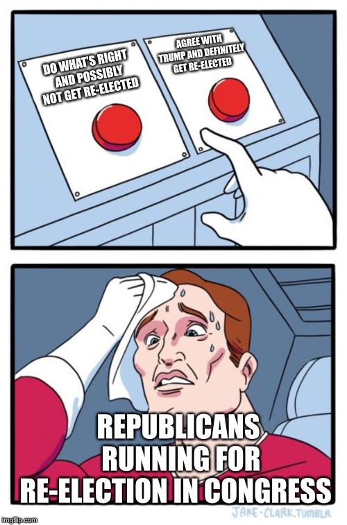 Two Buttons | AGREE WITH TRUMP AND DEFINITELY GET RE-ELECTED; DO WHAT’S RIGHT AND POSSIBLY NOT GET RE-ELECTED; REPUBLICANS RUNNING FOR RE-ELECTION IN CONGRESS | image tagged in memes,two buttons | made w/ Imgflip meme maker