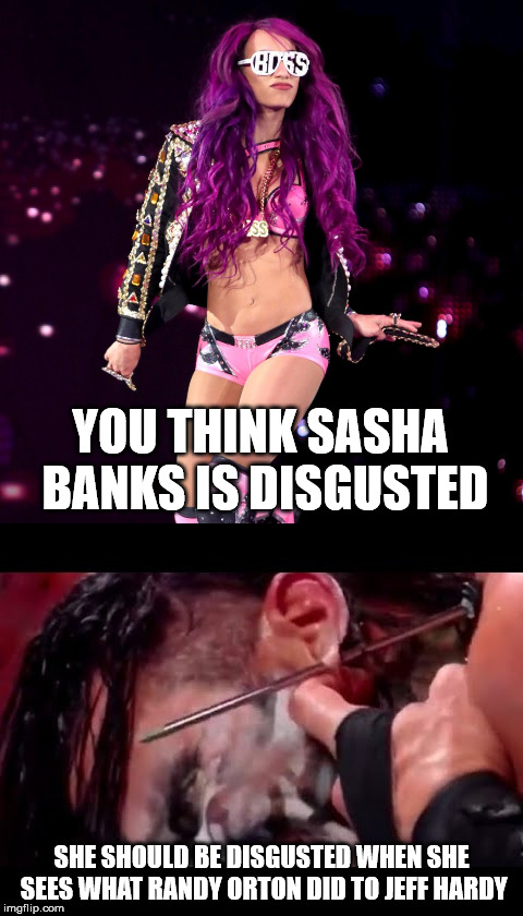 YOU THINK SASHA BANKS IS DISGUSTED SHE SHOULD BE DISGUSTED WHEN SHE SEES WHAT RANDY ORTON DID TO JEFF HARDY | made w/ Imgflip meme maker