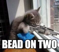Sniper Cat | BEAD ON TWO | image tagged in sniper cat | made w/ Imgflip meme maker