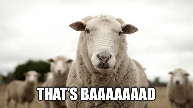 Sheep | THAT’S BAAAAAAAD | image tagged in sheep | made w/ Imgflip meme maker