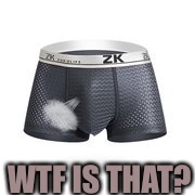 WTF IS THAT? | image tagged in wtf | made w/ Imgflip meme maker