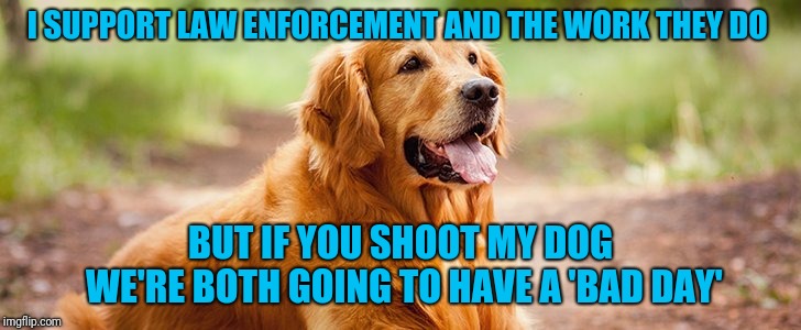 Fair Warning | I SUPPORT LAW ENFORCEMENT AND THE WORK THEY DO; BUT IF YOU SHOOT MY DOG WE'RE BOTH GOING TO HAVE A 'BAD DAY' | image tagged in dog | made w/ Imgflip meme maker