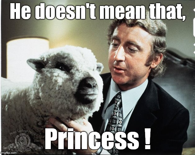 Baaa | He doesn't mean that, Princess ! | image tagged in baaa | made w/ Imgflip meme maker