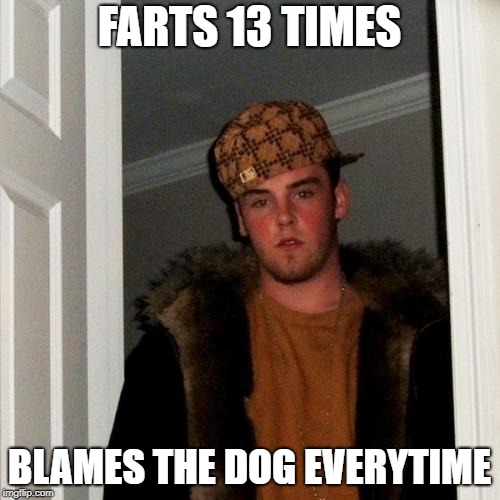 Scumbag Steve Meme | FARTS 13 TIMES BLAMES THE DOG EVERYTIME | image tagged in memes,scumbag steve | made w/ Imgflip meme maker