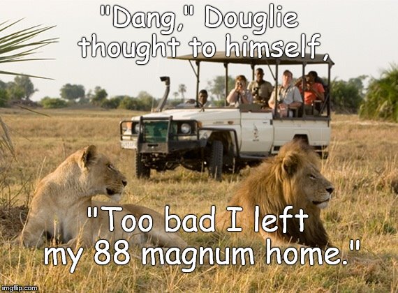 Safari jeep | "Dang," Douglie thought to himself, "Too bad I left my 88 magnum home." | image tagged in safari jeep | made w/ Imgflip meme maker