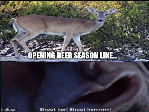 Shoot her deer season | OPENING DEER SEASON LIKE... | image tagged in shoot her,deer season,shoot her deer | made w/ Imgflip meme maker