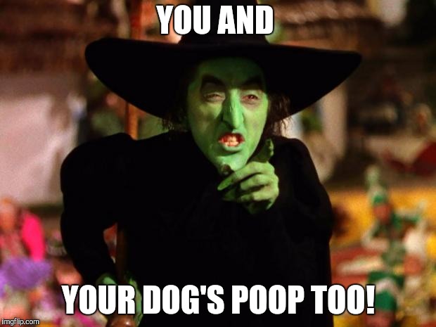wicked witch  | YOU AND YOUR DOG'S POOP TOO! | image tagged in wicked witch | made w/ Imgflip meme maker