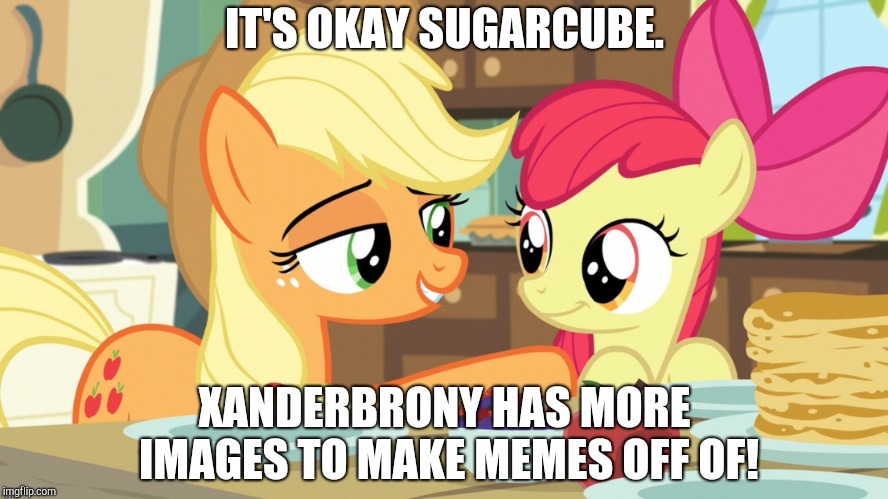 I've been lazy! | IT'S OKAY SUGARCUBE. XANDERBRONY HAS MORE IMAGES TO MAKE MEMES OFF OF! | image tagged in memes,my little pony,xanderbrony | made w/ Imgflip meme maker