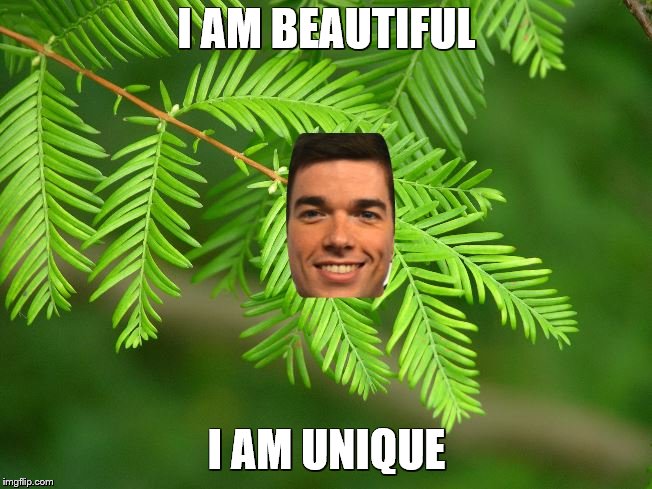 I used this photo for a project | I AM BEAUTIFUL; I AM UNIQUE | image tagged in iamunique | made w/ Imgflip meme maker