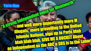 Yarra Man; "A strong independent voice for Wentworth"; and well more importantly more M Illegals,  more grovelling to the United Islamic Nations, sign up to Paris blah blah blah blah. GIVE ME A BUCKET About as independent as the ABC n SBS is to the Labor! | image tagged in phelps independent yep lol | made w/ Imgflip meme maker