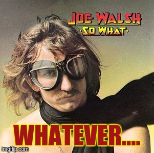 WHATEVER.... | image tagged in joe walsh | made w/ Imgflip meme maker
