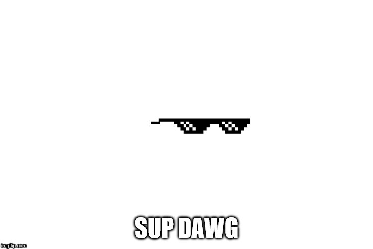 thug life glasses small | SUP DAWG | image tagged in thug life glasses small | made w/ Imgflip meme maker