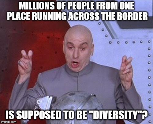 Dr Evil Laser | MILLIONS OF PEOPLE FROM ONE PLACE RUNNING ACROSS THE BORDER; IS SUPPOSED TO BE "DIVERSITY"? | image tagged in memes,dr evil laser | made w/ Imgflip meme maker